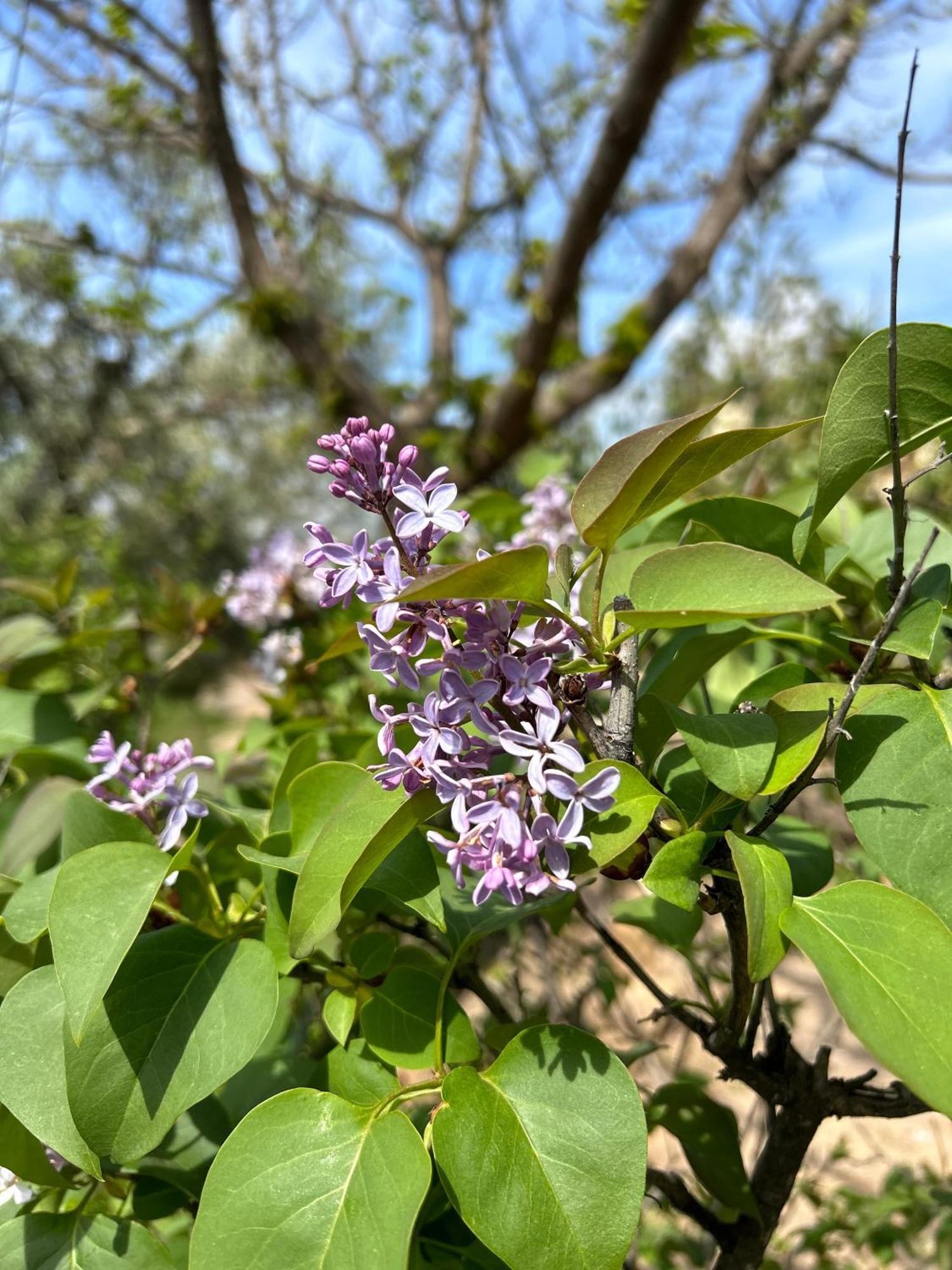Villa Rustica En La Alpujarra - La Gualalla - Soportujar Carataunas Εξωτερικό φωτογραφία
